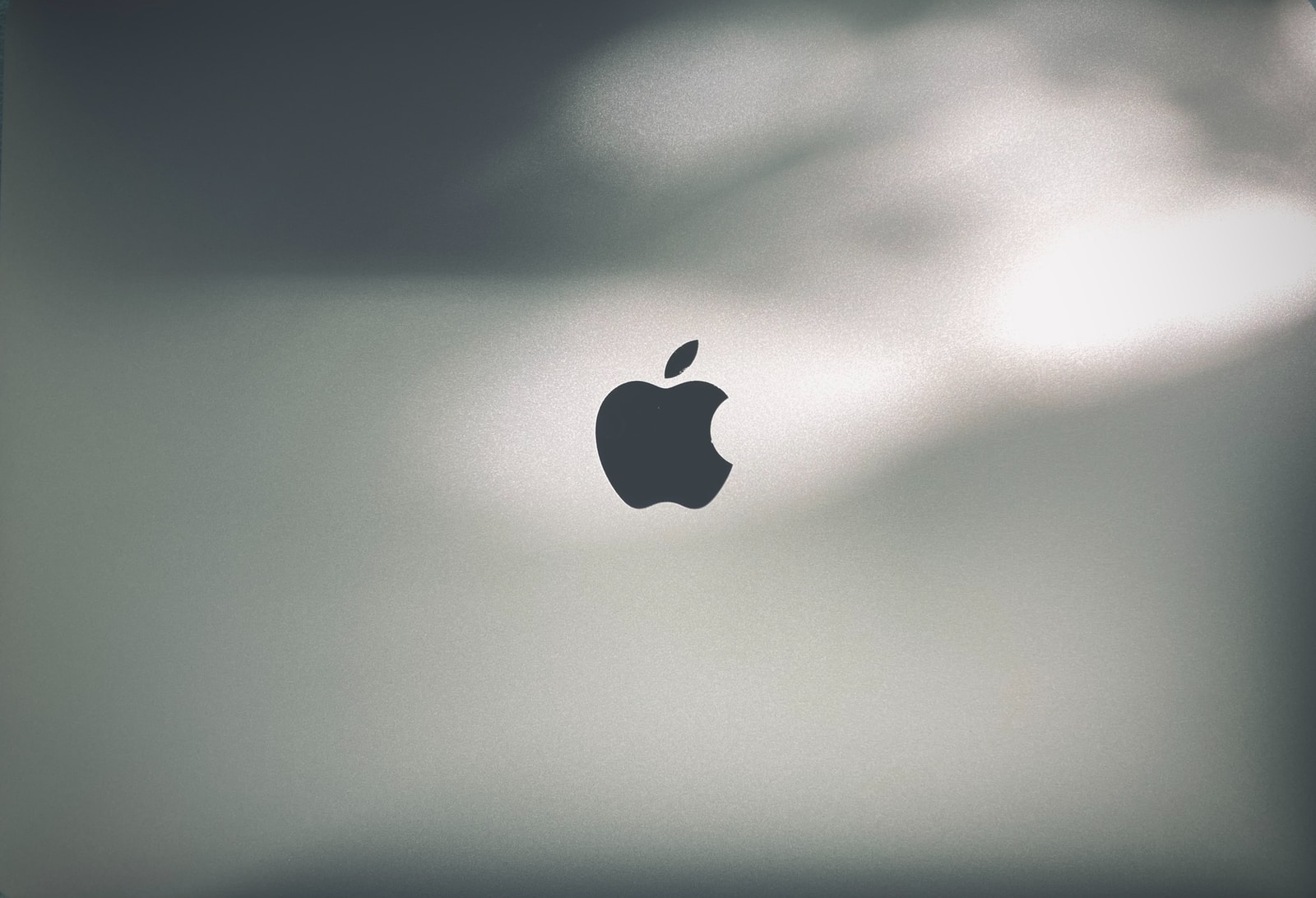 apple logo on white background